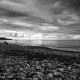 Pebble Beach