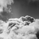 Bold Sky